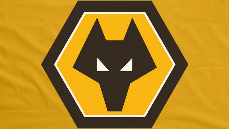 Câu lạc bộ bóng đá Wolverhampton Wanderers: Sự thật thú vị